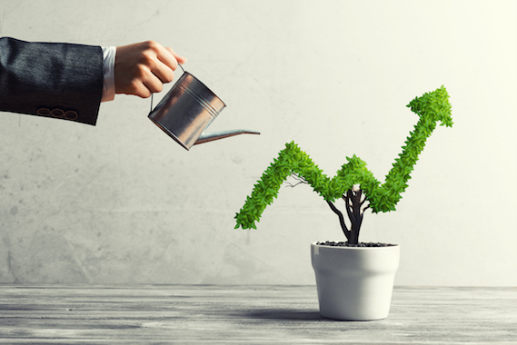 Gallup Q12
Employee engagement
Learn and grow
