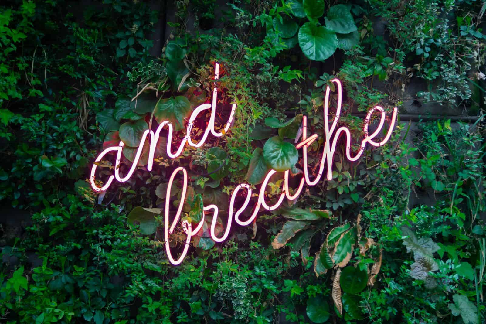 'and breathe' neon sign against wall full of plants